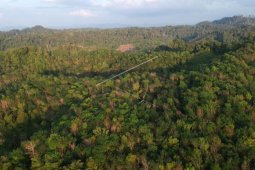 Taman Nasional Kerinci Seblat
