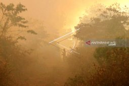 Kebakaran lahan di Aceh Barat semakin meluas
