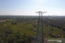 PLN UP3 Singkawang pelihara kabel jaringan listrik
