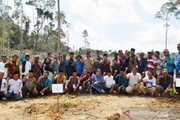 Dandim 0212/TS - Kapolres Tapsel tanam perdana Kopi Ateng di Arse