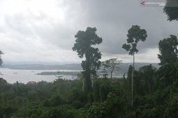 Seluruh wilayah di Papua Barat diperkirakan terjadi hujan Selasa-Rabu