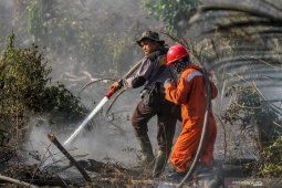 Dansatgas Karhutla Jambi akan pidanakan perusahaan pembakar lahan