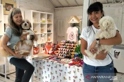 Dog Grocer Cafe, tempat bersantai sambil manjakan anjing kesayangan