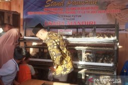 Ribuan burung puyuh Bang Nazar laris di lokasi pameran