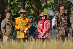 Pemkot Madiun akan manfaatkan "lahan bengkok" untuk tanaman cabai