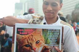 "KPK" ajak warga stop siksa  kucing