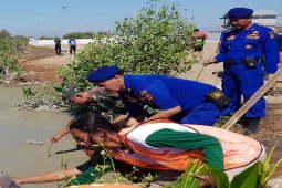 Penanaman  2.000 bibit mangrove di pantai Cirebon tahan abrasi