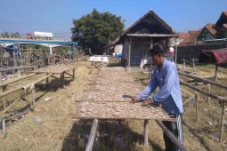Produksi ikan asin menurun