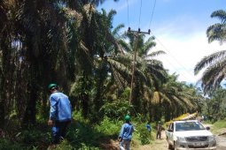 Tekan intensitas gangguan, PLN Bengkayang laksanakan program perang padam