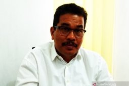 Pemerintah Aceh ganti ganja dengan jagung