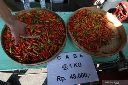 Operasi pasar cabai
