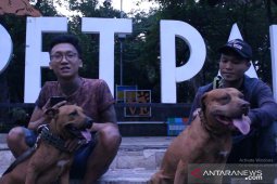 Pet Park Bandung tak terawat dikeluhkan warga  [Video]