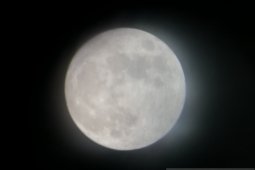 Menikmati gerhana bulan dari Taman Ismail Marzuki