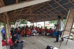 BRG maksimalkan tiga cara restorasi gambut di Sumsel