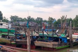 Masih banyak nelayan trawl Jambi  gunakan pukat harimau