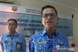 Pemkab Kotabaru revisi RTRW