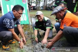 Gubernur Babel gelar penanaman pohon cemara di Pantai Tamberan
