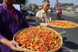 Pengendalian harga cabai