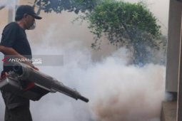 Dinkes Paser akan tertibkan petugas fogging swasta