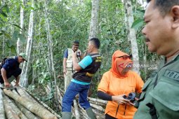 "Rumah" Orangutan Tapanuli dirusak OTT