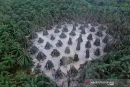 Semburan lumpur pengeboran ilegal Muba berhasil ditutup