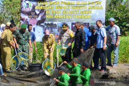 Bupati  panen ikan patin di Desa Jelapat Baru