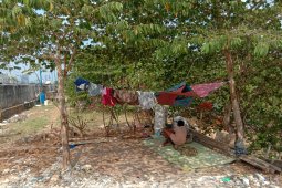Kisah penghuni gubuk liar  yang tak jera digusur