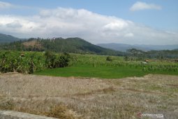 Ada 11 ribu hektare sawah Karawang kekurangan air