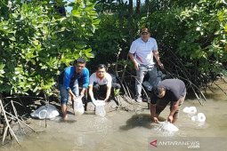 BKIPM tebar 200 ribu benih udang windu di Alue Naga