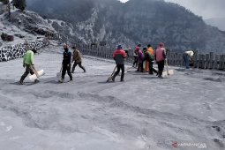 Abu vulkanik pascaerupsi Gunung Tangkuban Parahu mulai dibersihkan