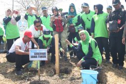 Khofifah ajak masyarakat tanam cemara udang untuk cegah abrasi di pesisir pantai
