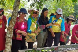 DPPP Bangka Selatan gelar festival bakar 20.000 otak-otak