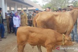 4 pasar hewan di Purwakarta ditutup antisipasi kasus antraks