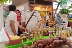 Kemenkumham : Produk khas Kalsel belum terdaftar sebagai Indikasi Geografis