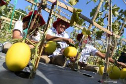 Petrokimia Gresik siapkan sejumlah strategi wujudkan "Indonesia Emas 2045"