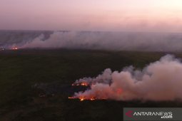 Tiga titik spot api bakar lahan di Tapin
