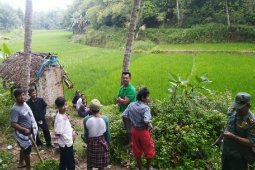Macan tutul yang masuk perkebunan warga Tasikmalaya masih dicari