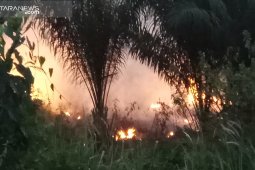 Warga keluhkan kebakaran hutan dan lahan Register 45 Mesuji Lampung