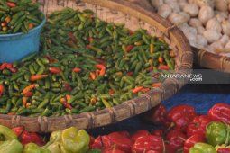 "Pedasnya" harga cabai dongkrak inflasi Kota Malang