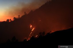 Fire catches forest on Mt Merapi's slope