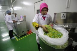 Kemenperin: Peluang industri cangkang kapsul rumput laut sangat potensial