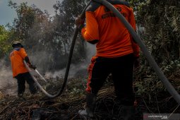 Selama tujuh bulan, 35 hektare lahan di Batanghari terbakar