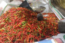 DPRD Gorontalo Utara minta pemerintah dorong produksi cabai rawit