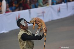 Pets Carnival