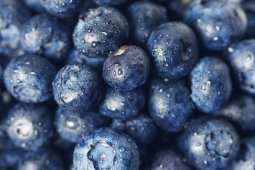 Manfaat blueberry untuk memperlambat penuaan