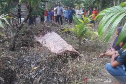 Warga Abdya temukan mayat di kebun kakao