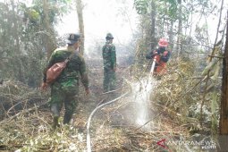 Kebakaran hutan di Riau akibat pembakaran lahan gambut disengaja