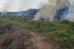 Dua titik kebakaran hutan di Tabalong terpantau satelit