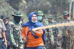 Tidak kalah dengan petugas, aksi Bupati Muarojambi padamkan Karhutla