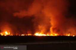 Kebakaran lahan meluas di dekat Tol Palindra